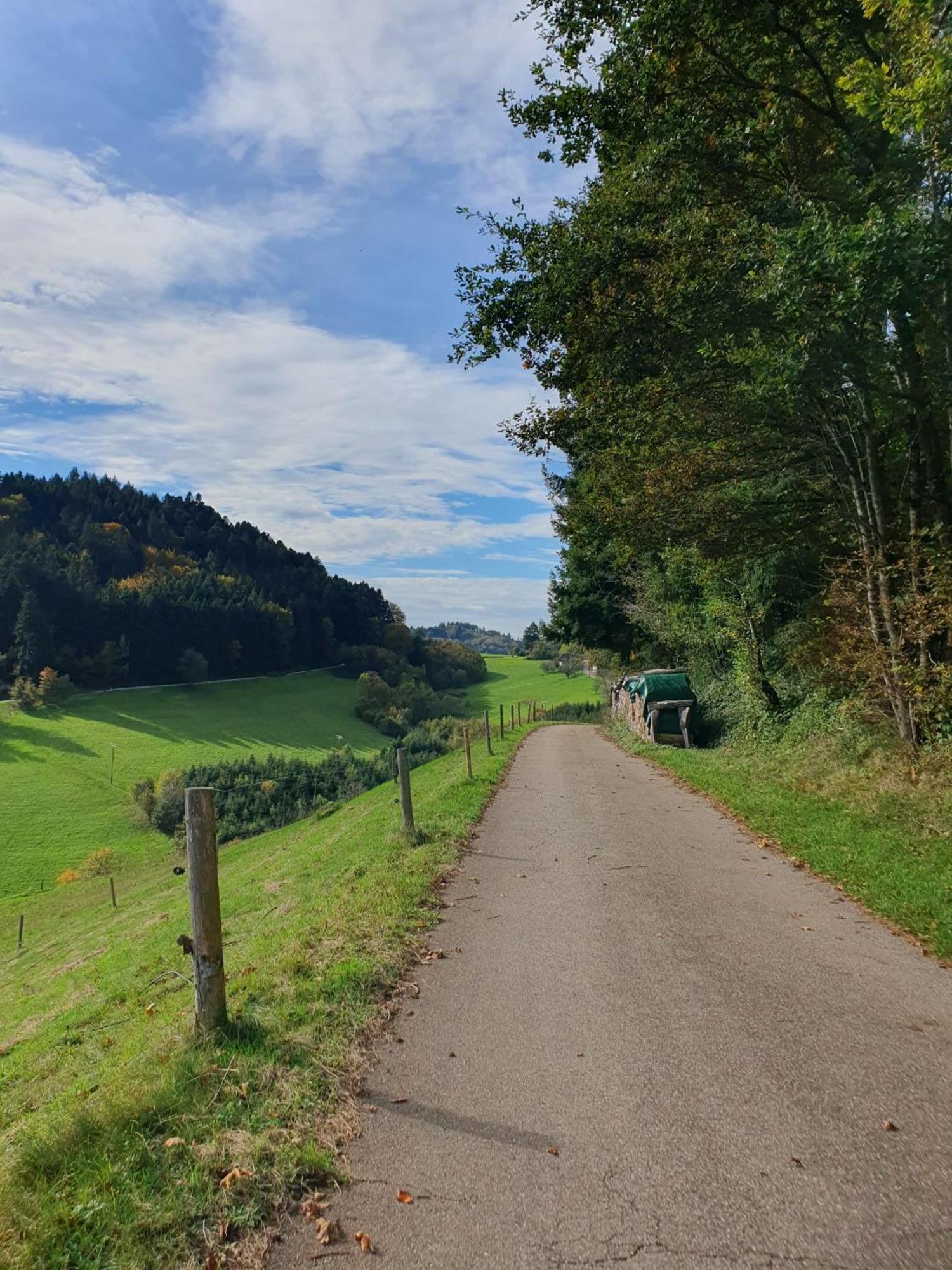 Am Siegelbaechle -2 Mit E-Bikes Vermietung Siegelau Exteriér fotografie